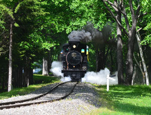 北海道遺産 森林鉄道蒸気機関車 雨宮２１号 | 観光・遊び | 遠軽町