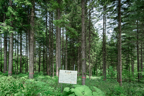 北海道家庭学校展示林