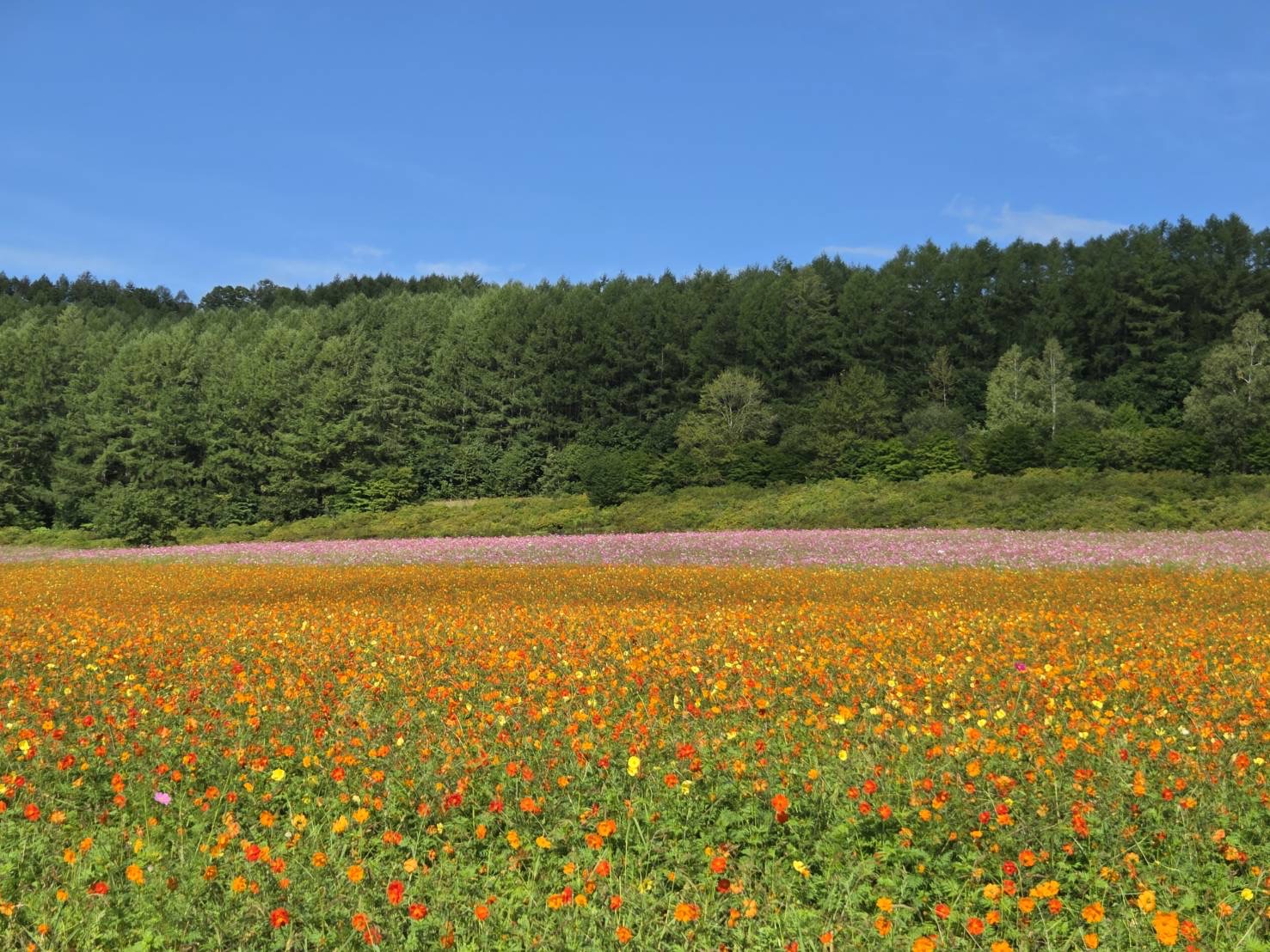 令和8年8月28日現在