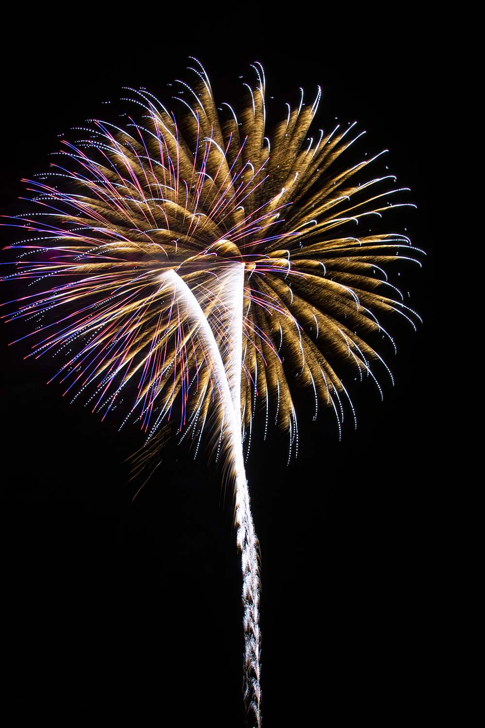 夜空に大輪の花を咲かせる 第２５回記念コスモス開花宣言花火大会 北海道オホーツクのまち 遠軽町ホームページ