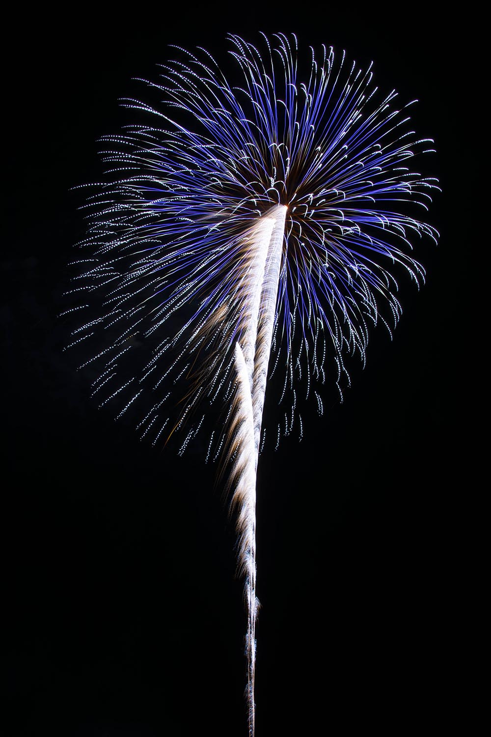 夜空に大輪の花を咲かせる 第２５回記念コスモス開花宣言花火大会 北海道オホーツクのまち 遠軽町ホームページ