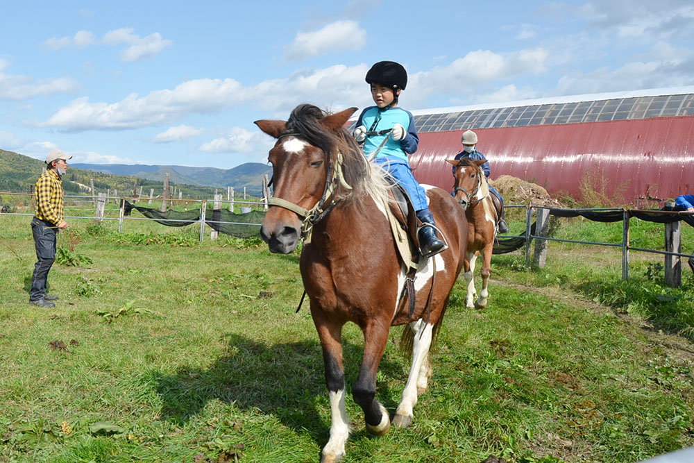 馬と仲良くなろう～白滝乗馬体験教室 北海道オホーツクのまち 遠軽町ホームページ