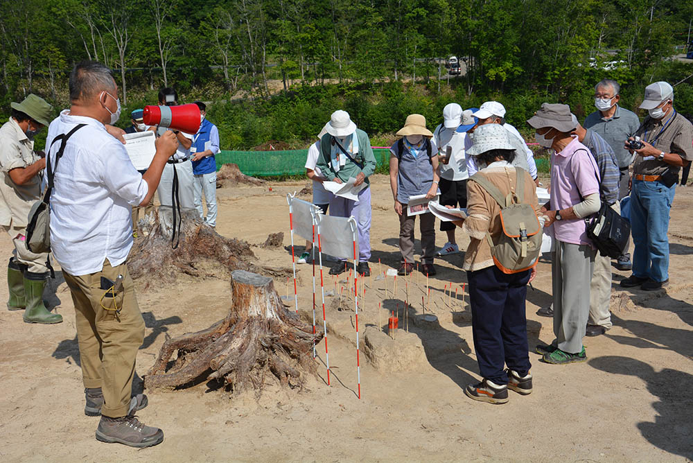遺跡発掘現場を見学する参加者たち